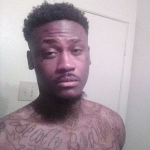 Meet your Posher, Nova